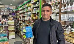 En yaşlı ağaçlardan biri unutkanlığa karşı kullanılıyor