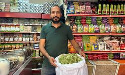 Niğde’de kilosu 2 bin liradan satılıyor