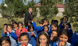 Niğde’de şehitlerin anısına dikilen 70 elma ağacı meyve verdi