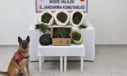 Fesleğen köyünde uy*şturucu operasyonu: 10 kilo esrar ele geçirildi