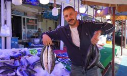 Niğde’de balıkçıdan dondurucu uyarısı: “Stok yapın”