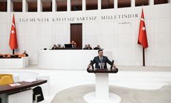 Vekil İnce, Niğde’nin sorunlarını Meclis’te gündeme getirdi