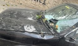 Niğde’de rüzgâr ağacı dalından kopardı, araç hasar gördü!