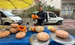 Niğde’de bal kabağı tezgahlarda yerini aldı