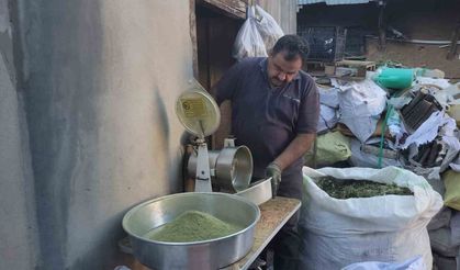 Zetrin Nedir ? 120 çeşit bitkinin karışımıyla elde ediliyor