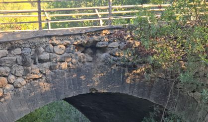 Depremlerde yıkılmayan tarihi köprü definecilerin tehdidi altında