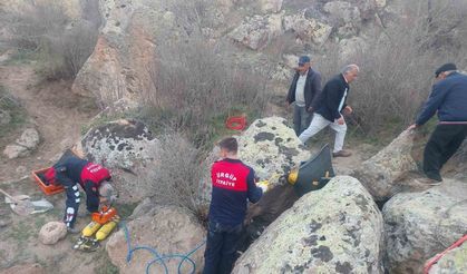 Kayaların arasına sıkışan tosunu itfaiye kurtardı