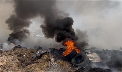 5 bin 600 ot balyası yanmıştı: Tekrar alevlendi