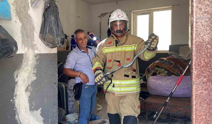 Yönünü şaşıran yılan gülümsetti