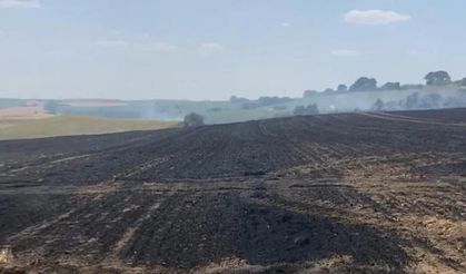 15 dönüm buğday tarlası yandı