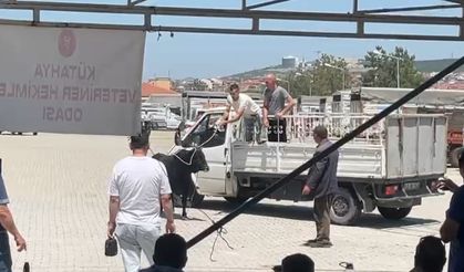 Kaçan kurbanlık ekipleri harekete geçirdi