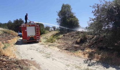 Kuru otlar alev aldı, köylüler toprakla söndürdü