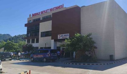 Üzüm yaprağı toplarken düşen kadın hayatını kaybetti