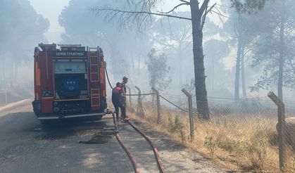Anız yangını ormana sıçradı, 16 hektar kül oldu