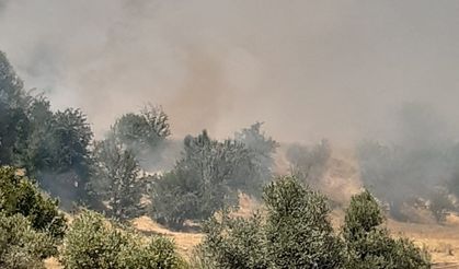 Çıkan yangın büyük ölçüde söndürüldü