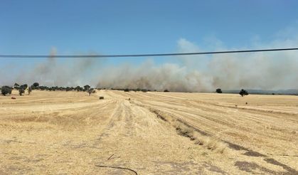 Tarım arazisinde yangın çıktı, müdahale ediliyor
