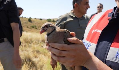 Keneyle mücadele için 400 keklik doğaya salındı
