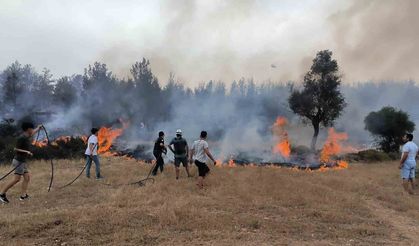 ‘Anız yangını’ uyarısı