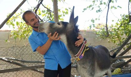 Annesi ölen eşeğe gözü gibi bakıyor