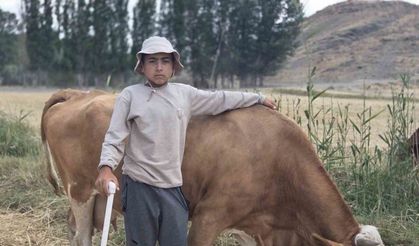 Baktığı hayvanların huyuna ve desenine göre isim veriyor