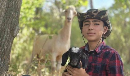 Gönülleri ısıtmıştı, şimdi oğlağına isim arıyor