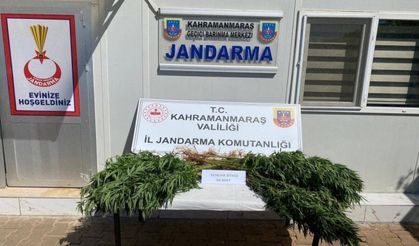 Çeşitli suçlardan yakalanan 14 şüpheli tutuklandı