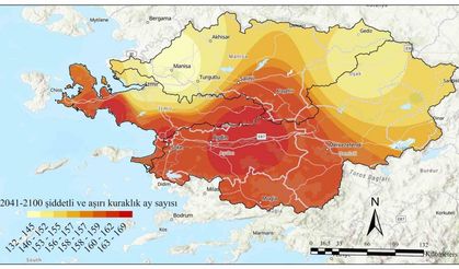 Kuraklık alarmı: Bilim insanları uyarıyor