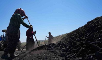 Ekmeğini kömürden çıkaranlar: Mevsimlik kömür işçileri