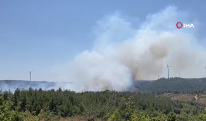 Çanakkale’de bir orman yangını daha çıktı