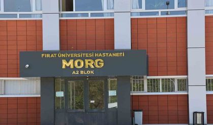 Araç içerisinde kuzeni tarafından vurularak öldürüldü