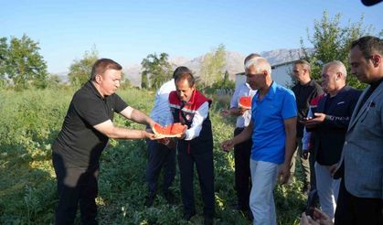 Bereketli topraklarda üretilen karpuzun hasadı başladı