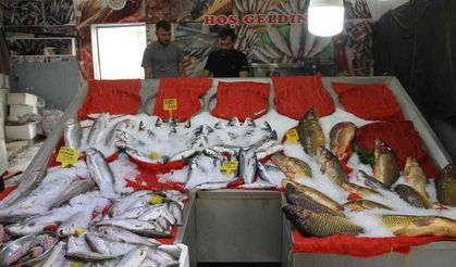 Esnafta ‘balık sezonu’ hazırlığı