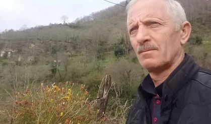 Armut ağacından düşen adam öldü