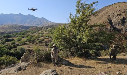 Kaybolan koyunları jandarma dronla buldu