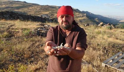 Kendiliğinden yetişiyor, kilosu 10 bin TL’ye satılıyor