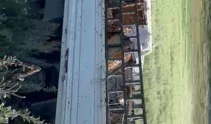 Kovan yüklü kamyonet devrildi, arılar etrafa yayıldı