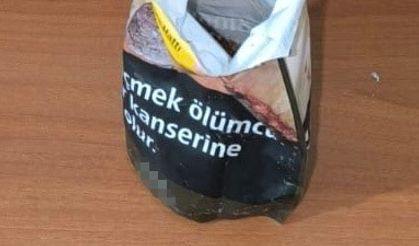 Uymayan otomobilde bonzai ele geçirildi