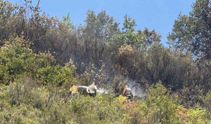 Ormanlık alanda çıkan yangın 2 saatte söndürüldü