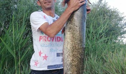 Timsah sandılar balık çıktı