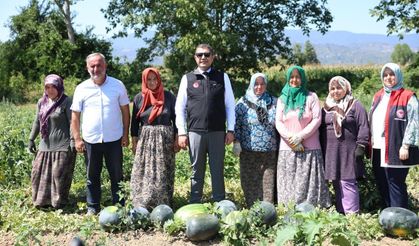 Uygulama tarlasında incelemelerde bulundu