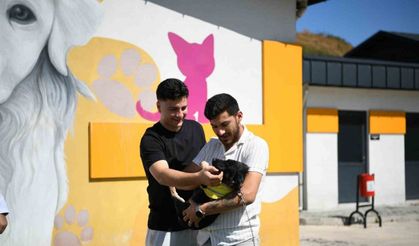 "Zift"isimli köpek  yeni yuvasına kavuştu