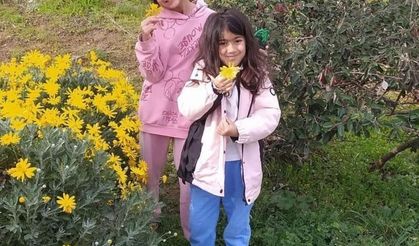 İki kardeşin ölümüne neden olan kazada babaya 12 yıl hapis