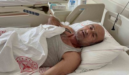 Ayı saldırısına uğradı: Canını ağaca tırmanarak kurtardı