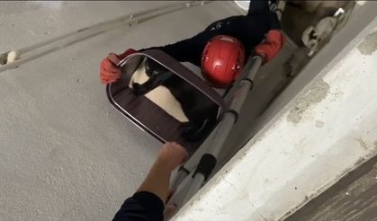 Apartman boşluğuna düşen kedi yaralı olarak kurtarıldı
