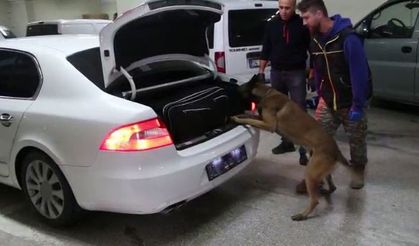 Kaçakçılık operasyonunda 6 gözaltı