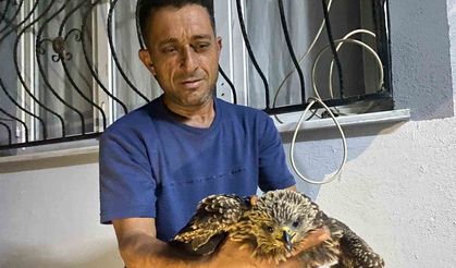 Bulduğu şahine ciğer dürüm söyledi