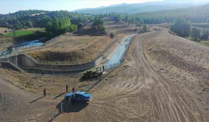Kaybolan keçileri jandarma buldu