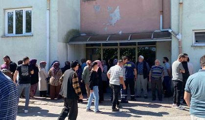 Ceviz toplarken elektrik akımına kapılarak hayatını kaybetti