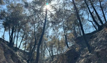 Evini yangından korumak isterken kalp krizi geçirdi