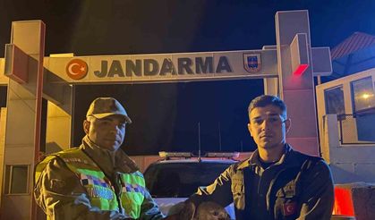 Kızıl şahin emin ellerde